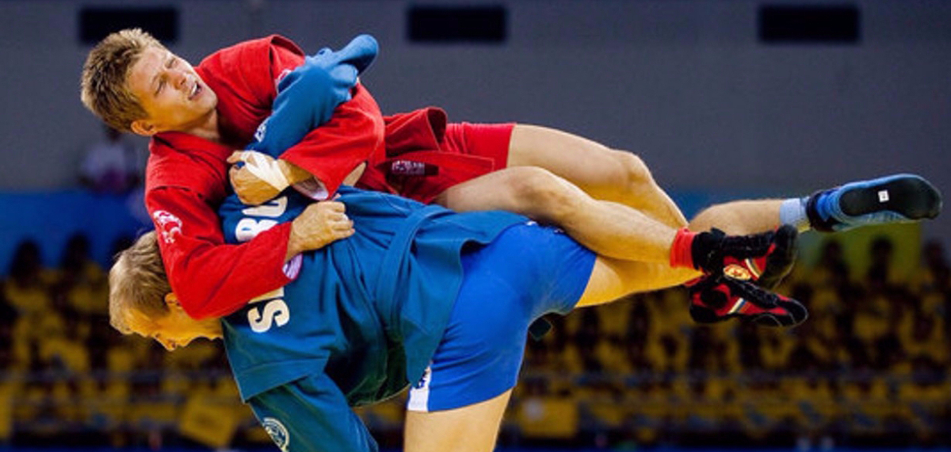 Sambo fighting styles Sambo fighting styles