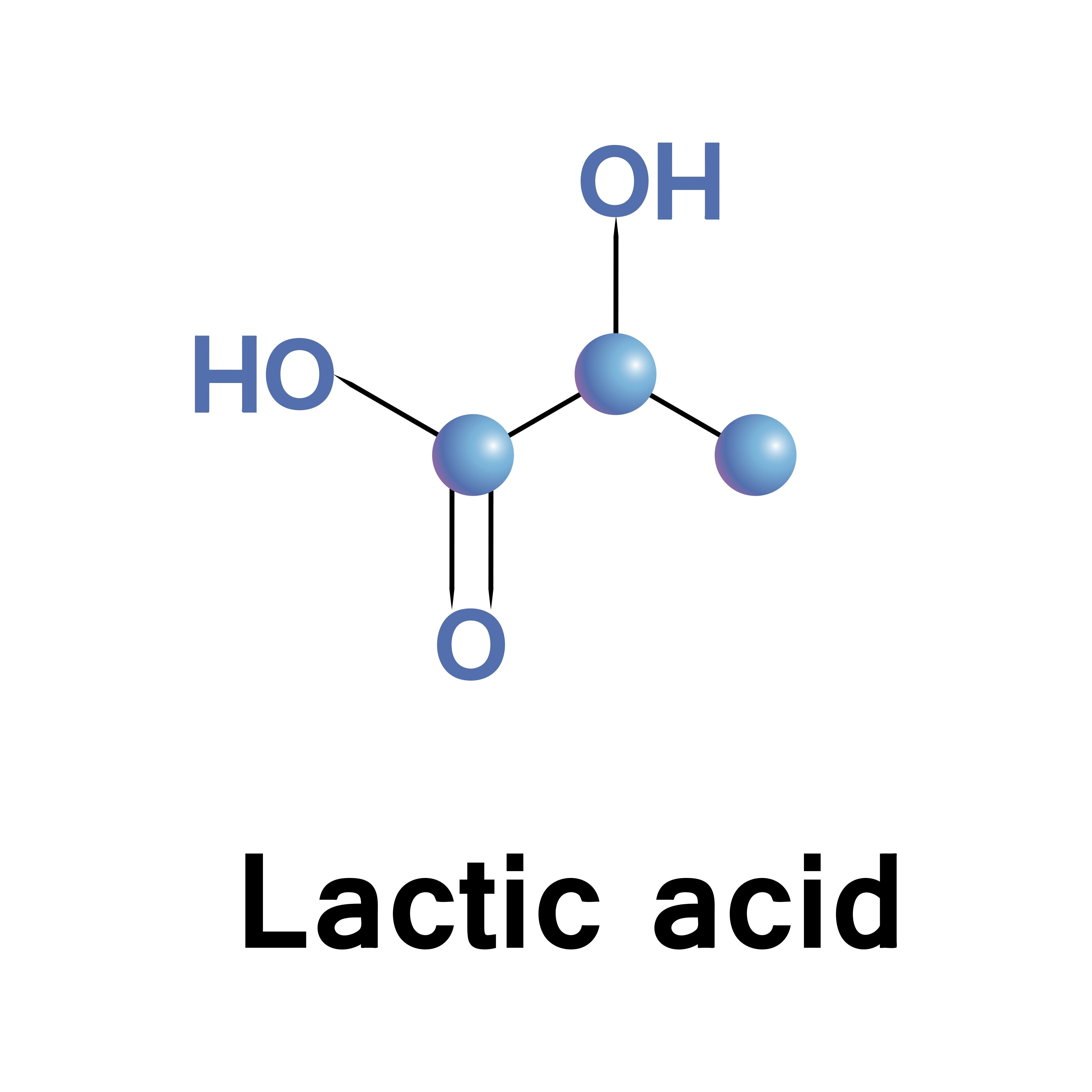 Combat Arts Energy Systems Lactic Acid Model