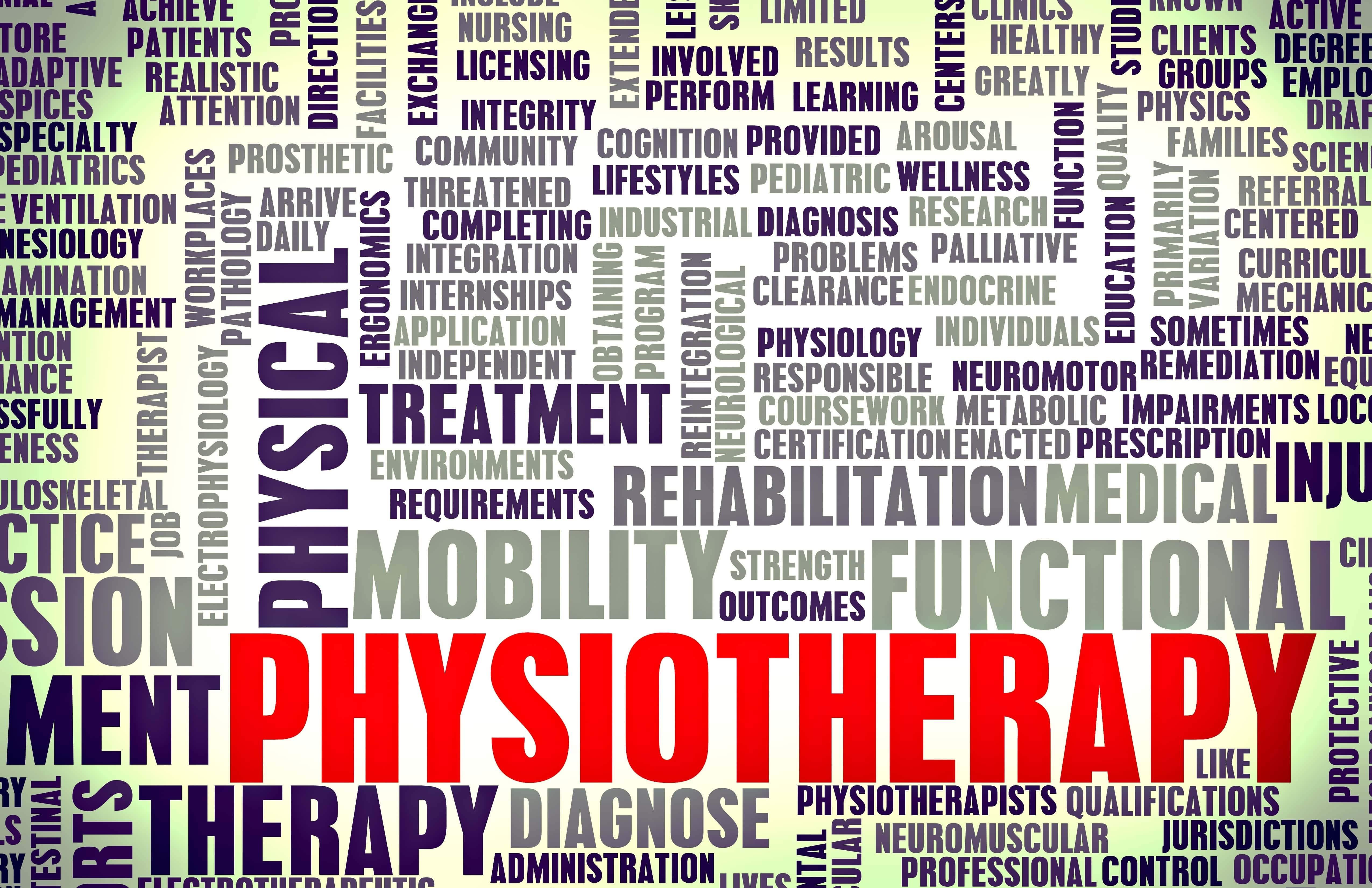 Physiotherapy | Fighting Arts Health Lab