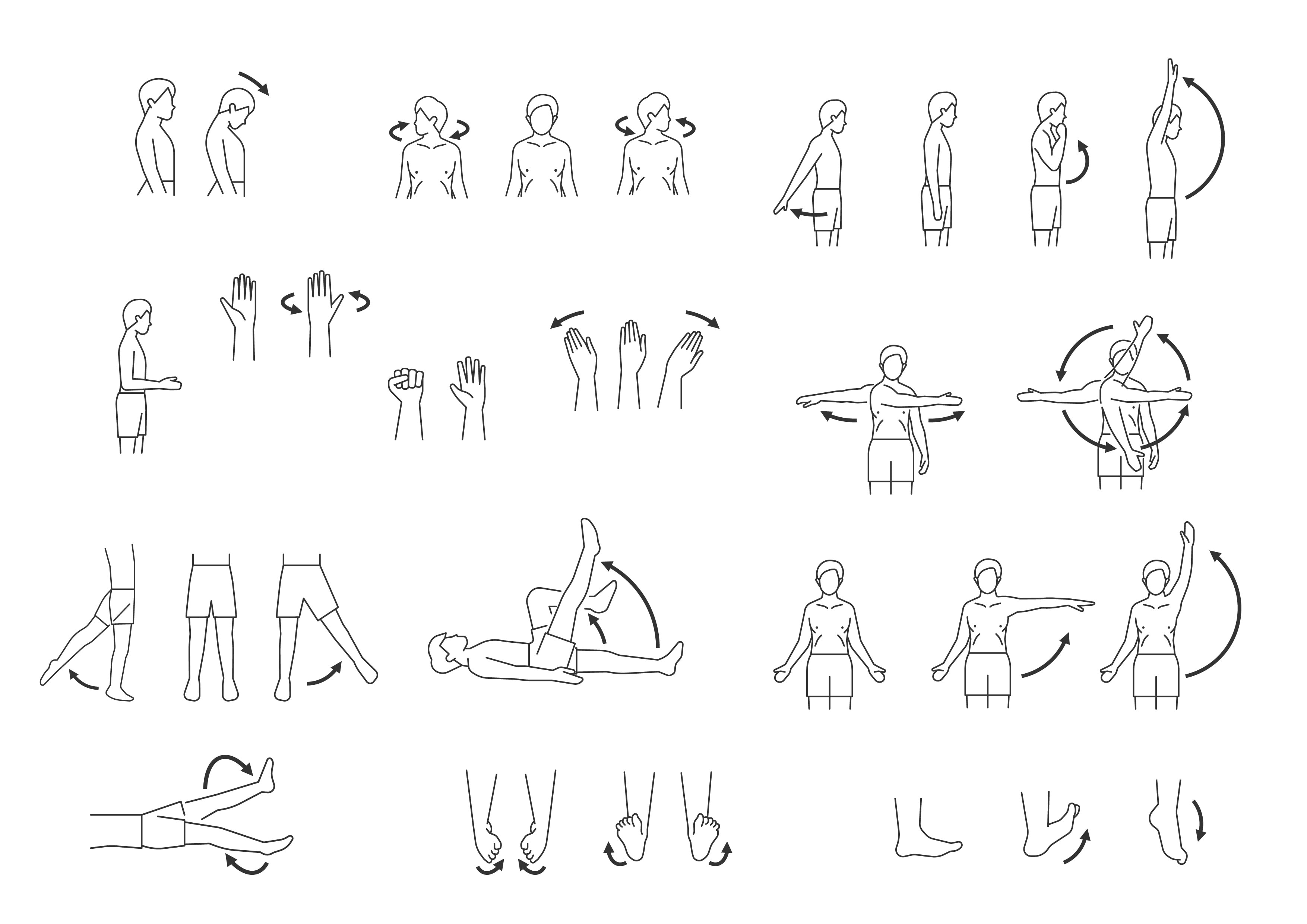 MMA Components of Fitness Range of Motion