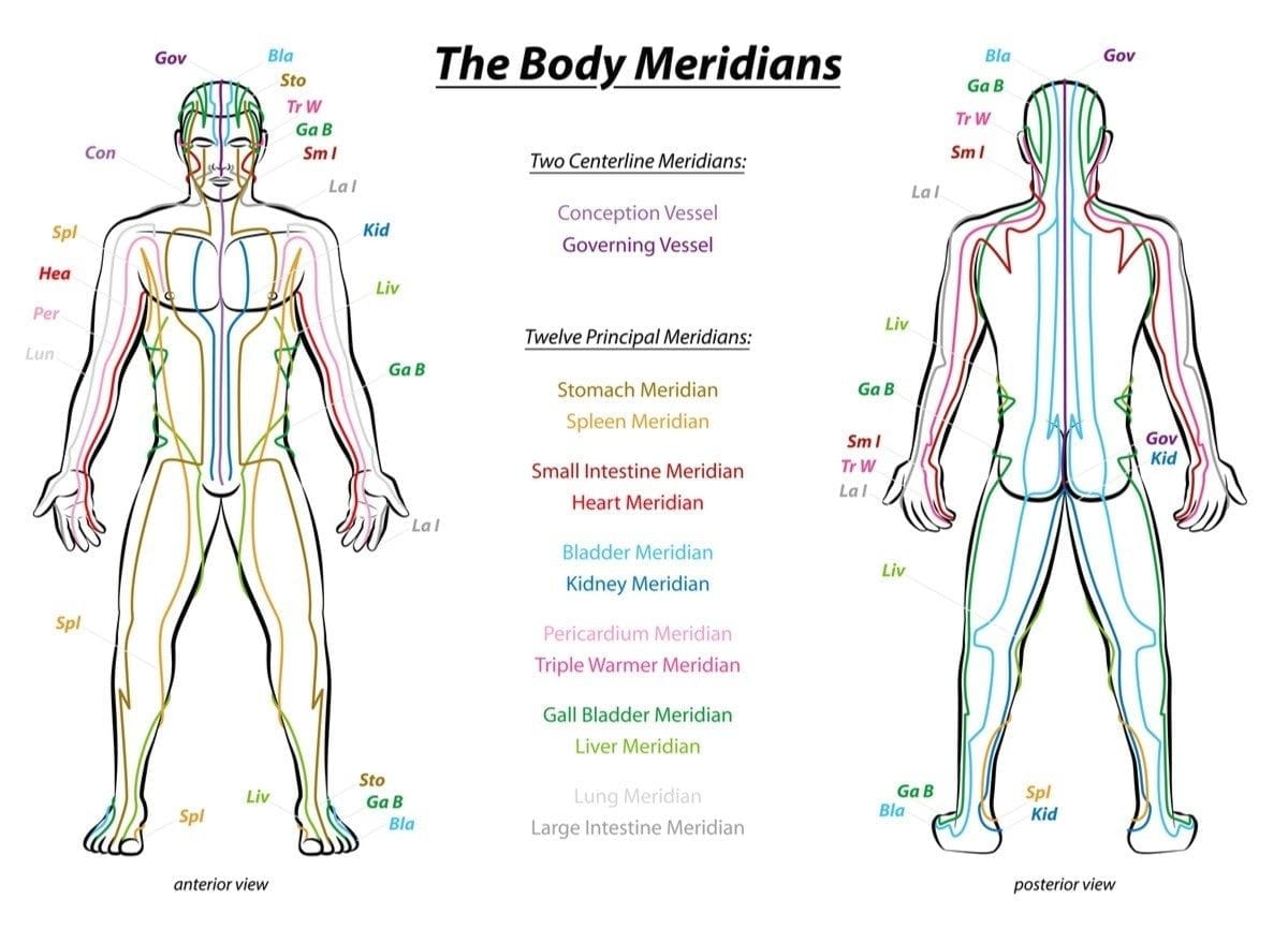 Acupuncture Body Meridian | Fighting Arts Health Lab