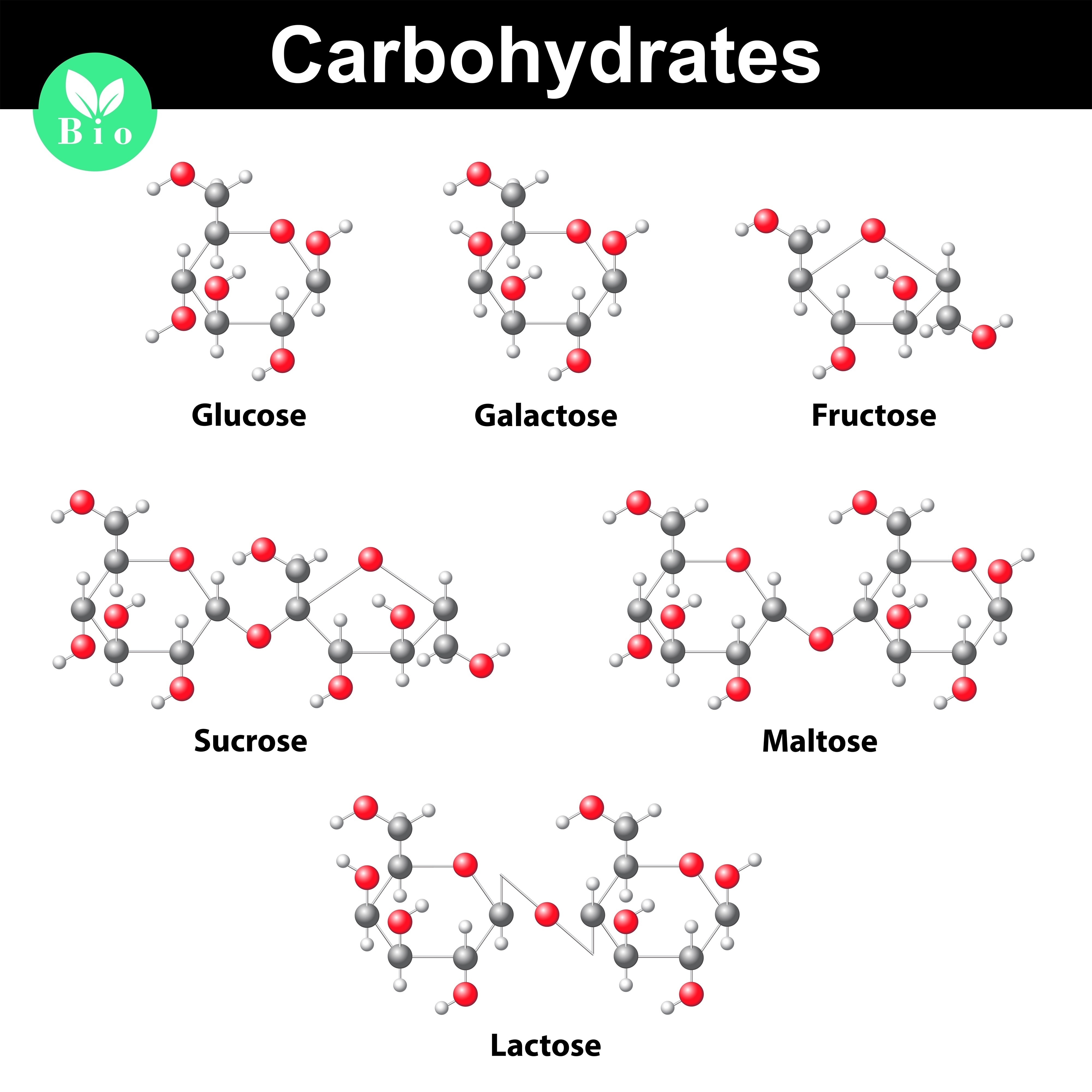 Carbohydrate Types | Fighting Arts Health Lab