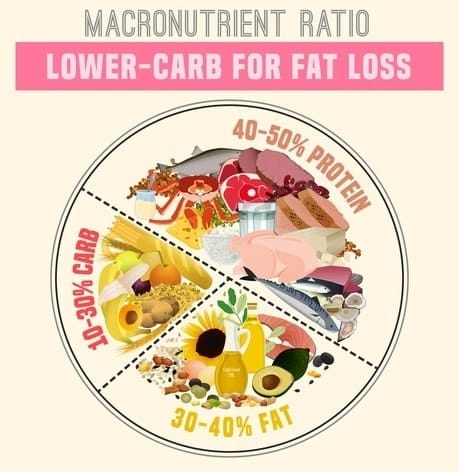 Low Carb Diet Macronutrient Ratio