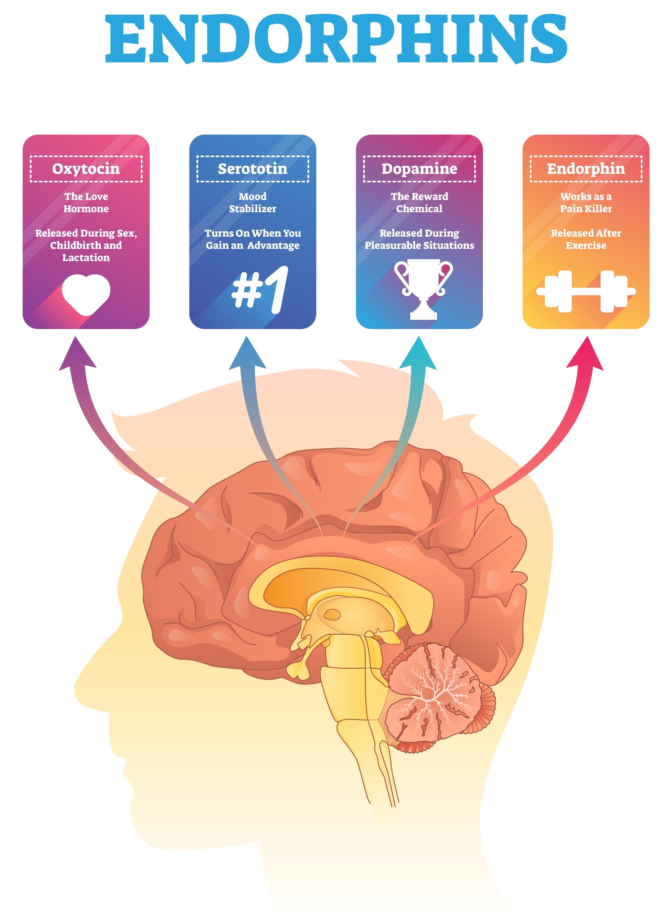 Sleep and Happy Hormones