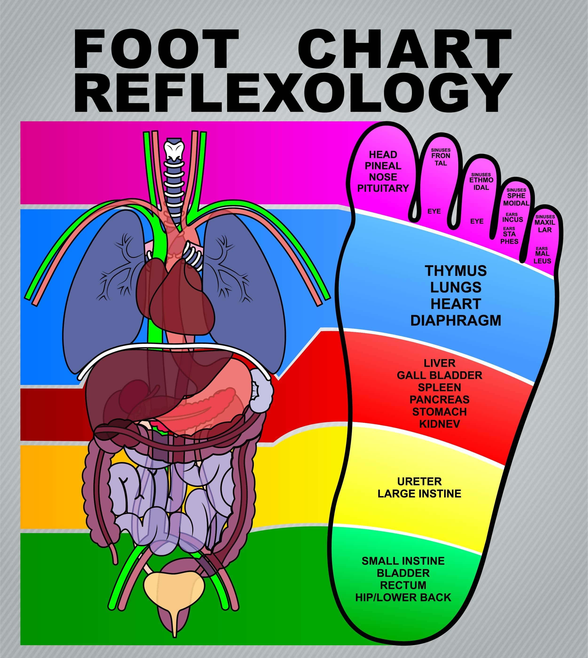 Foot Reflexology Massage | Fighting Arts Health Lab