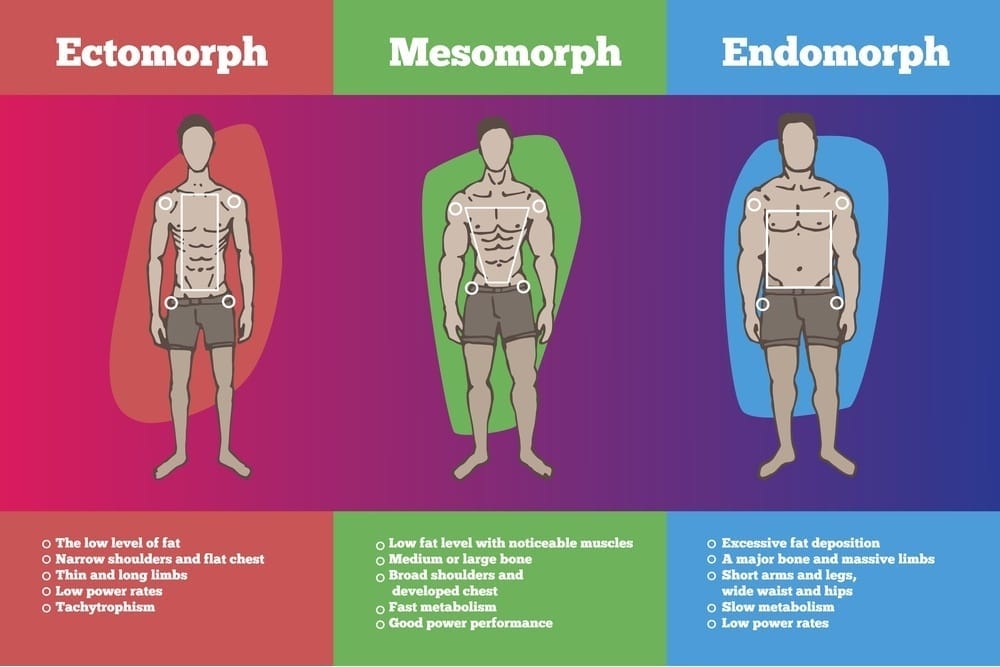 Long Term Weight Loss Body Types