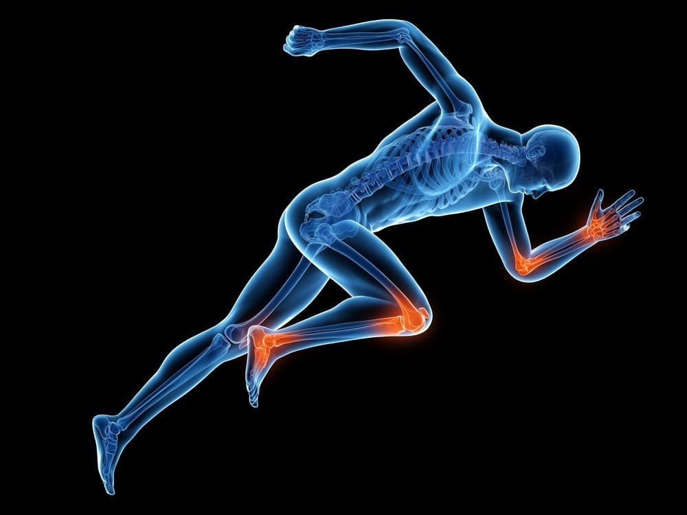 Body Physiology Joint Pain | Fighting Arts Health Lab