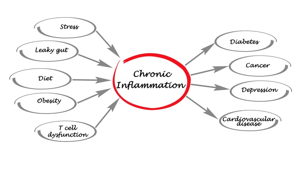 Combat Arts Chronic Inflammation