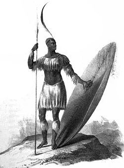 We're Inspired By Shaka Zulu | Fighting Arts Health Lab