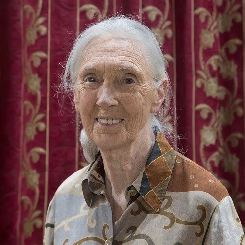 We're Inspired By Jane Goodall | Fighting Arts Health Lab