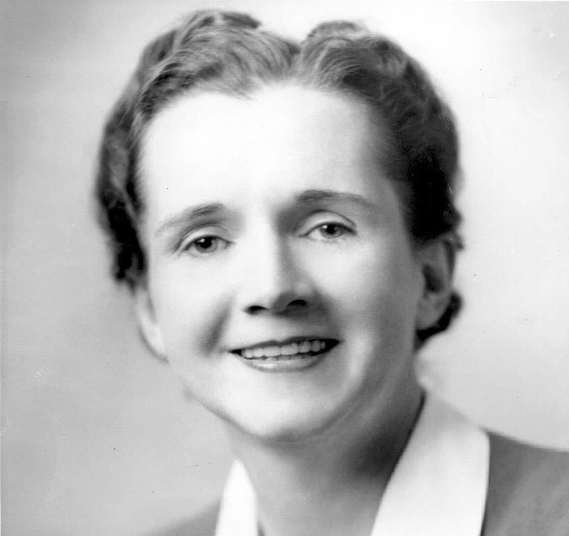 We're Inspired By Rachel Carson | Fighting Arts Health Lab