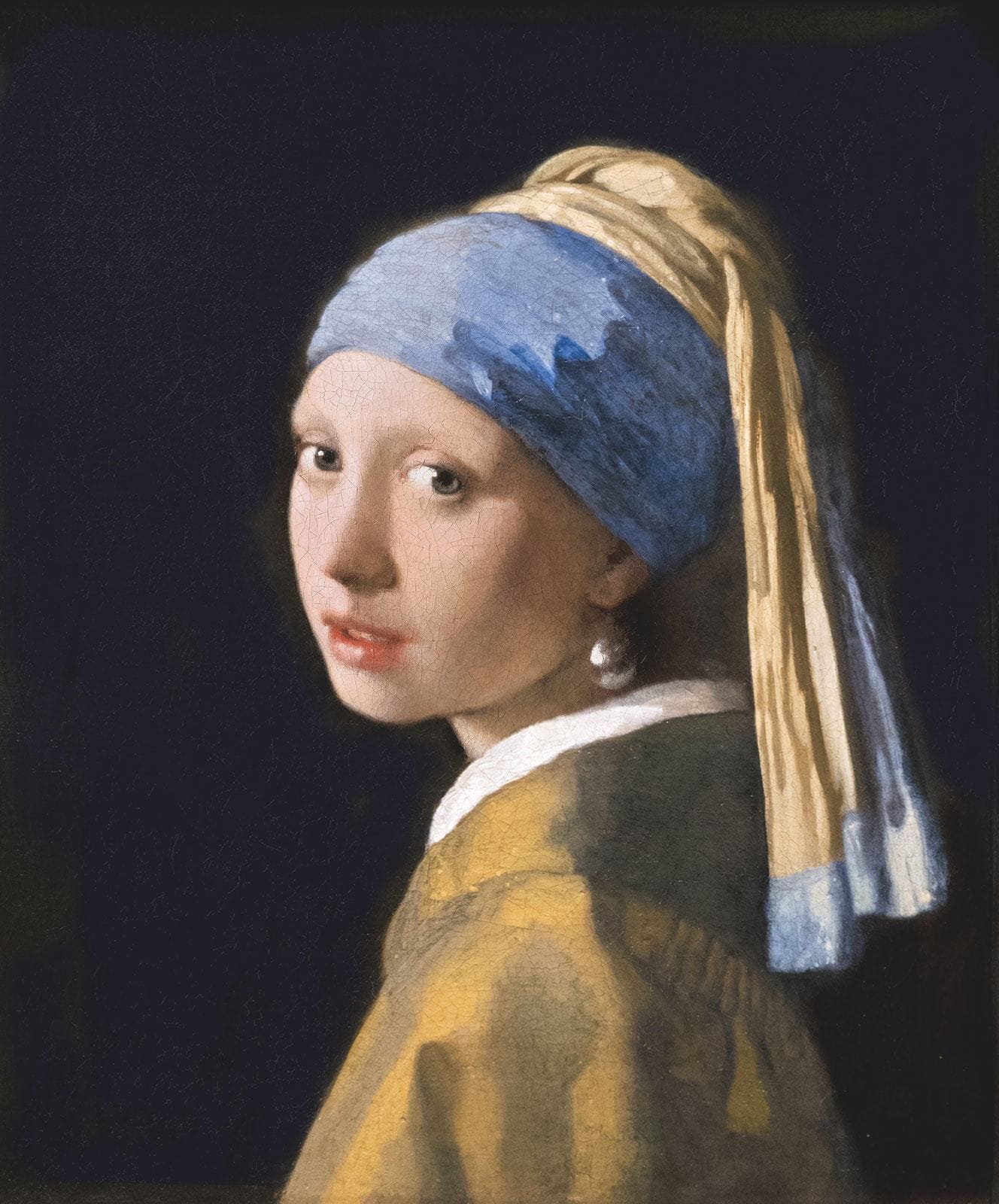 We're Inspired By Vermeer | Fighting Arts Health Lab