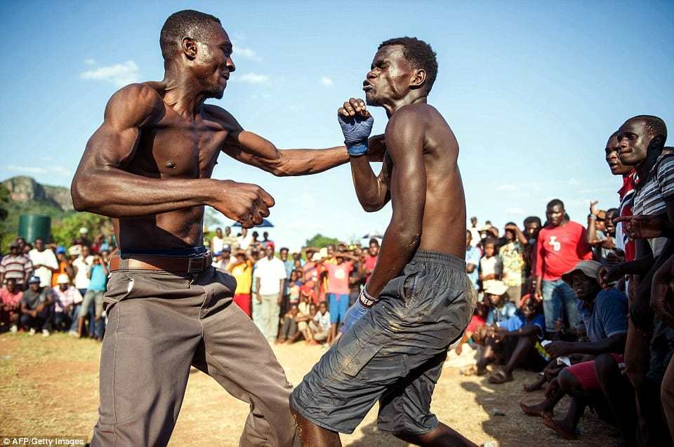 We're Inspired By Dambe, Musangwe, and Moraingy  | Fighting Arts Health Lab