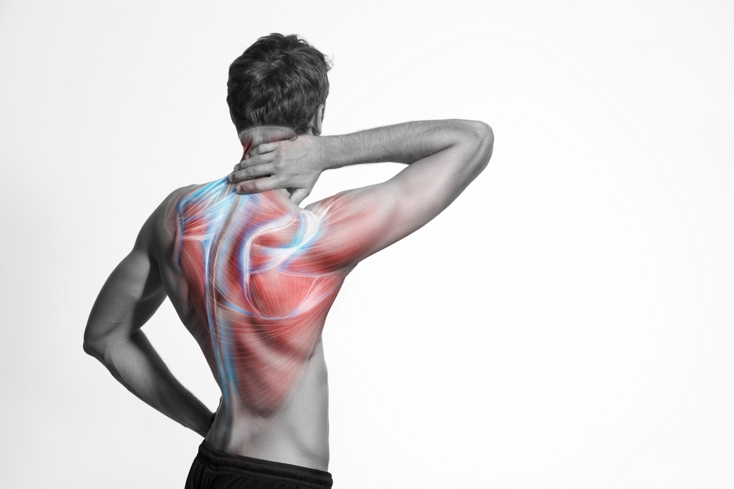 Spine Injury Overview | Fighting Arts Health Lab