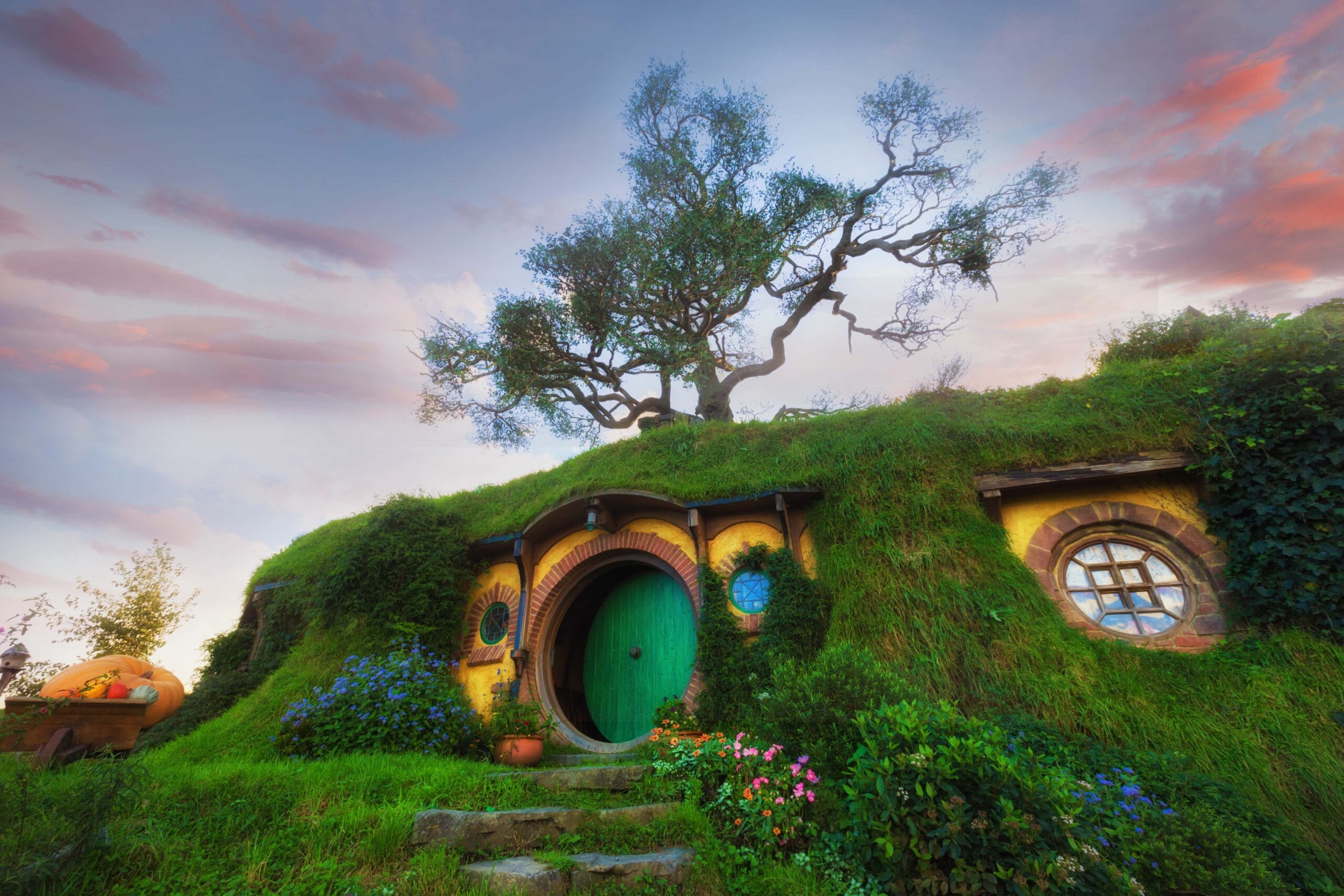 New Zealand Hobbiton | Fighting Arts Health Lab