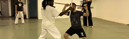 Bataireacht Maxine Training | Fighting Arts Health Lab