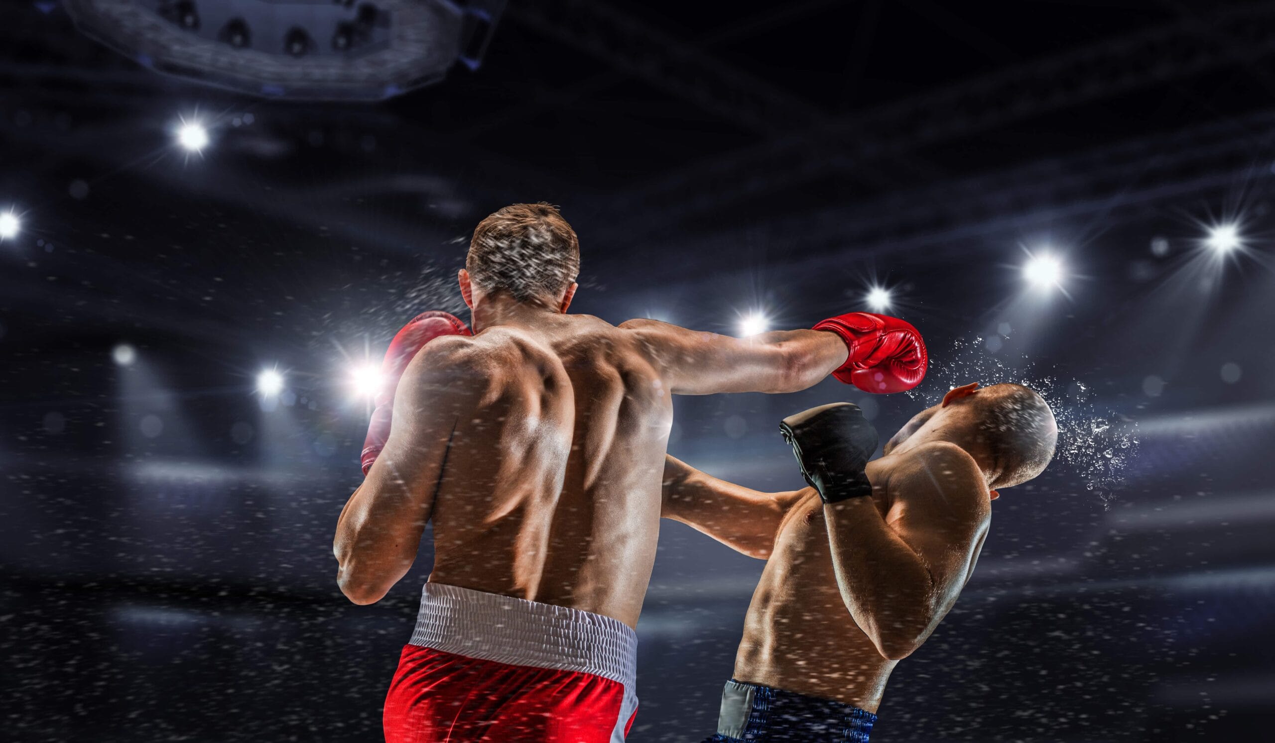 Concussion - Knockout Concussion Knockout | Fighting Arts Health Lab