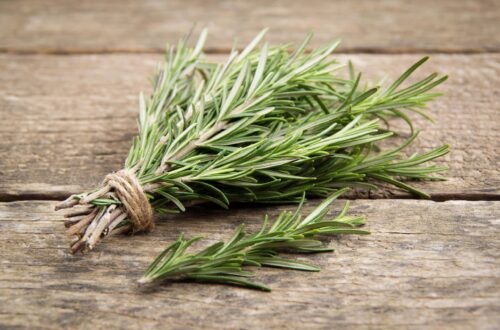 Ancient Martial Arts Cold Cures Rosemary