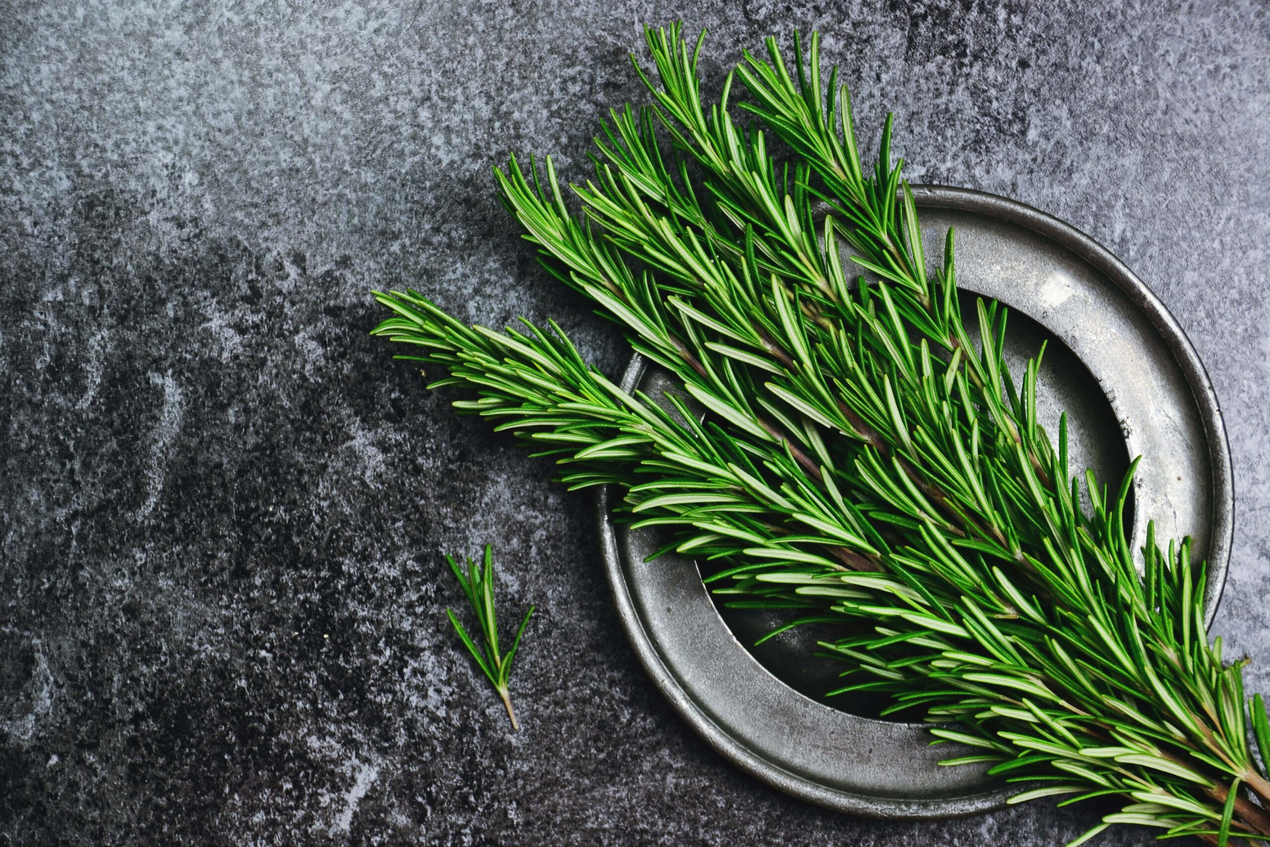 Brain Food Rosemary | Fighting Arts Health Lab