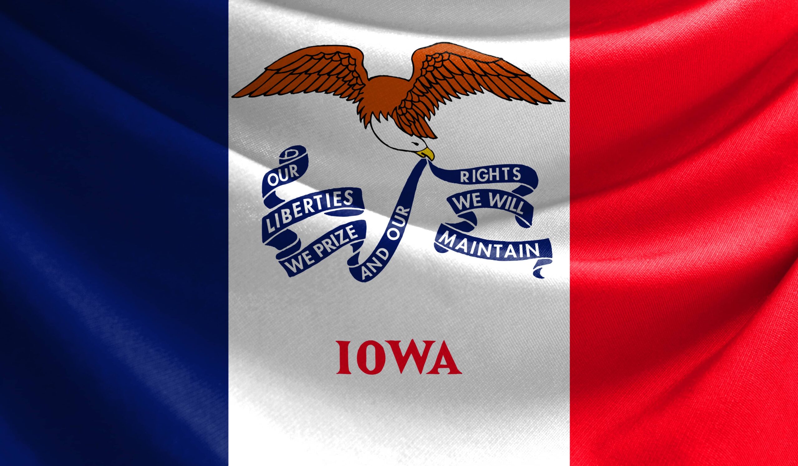Cornfield Sparring Iowa Flag Cornfield Sparring Iowa Flag | Fighting Arts Health Lab