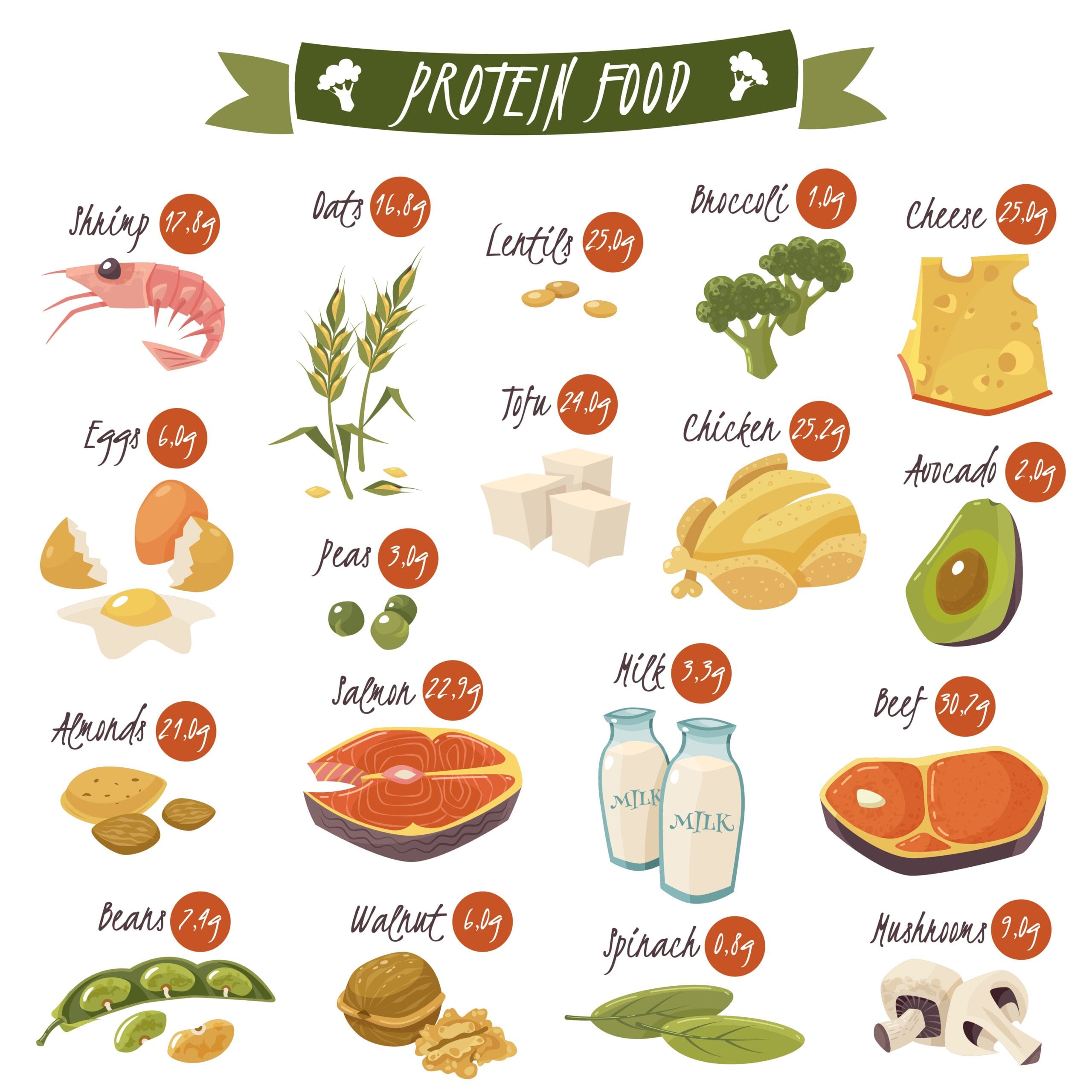 Protein Foods Pyramid | Fighting Arts Health Lab