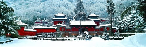 Purple Heaven Palace Winter Time Purple Heaven Palace Winter Time | Fighting Arts Health Lab