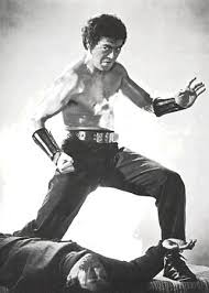 Street Fighter Sonny Chiba | Fighting Arts Health Lab