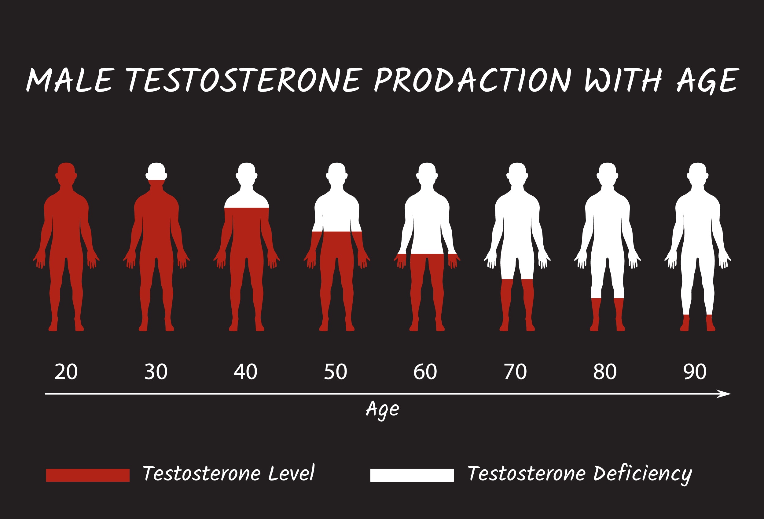 Testosterone vs Estrogen Production Levels