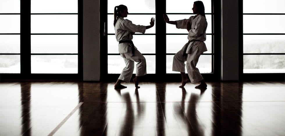 Dojo Stara Wies Karate II