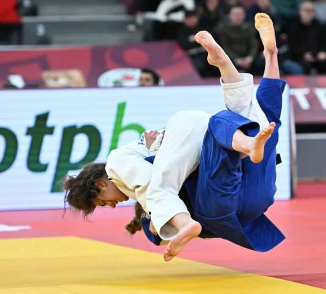 Judo Throwing Techniques in Martial Arts Comparison Judo Throwing Techniques in Martial Arts Comparison