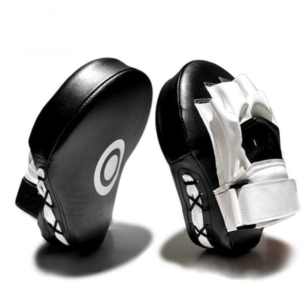 TARGET TRAINING FOCUS MITTS - Image 4
