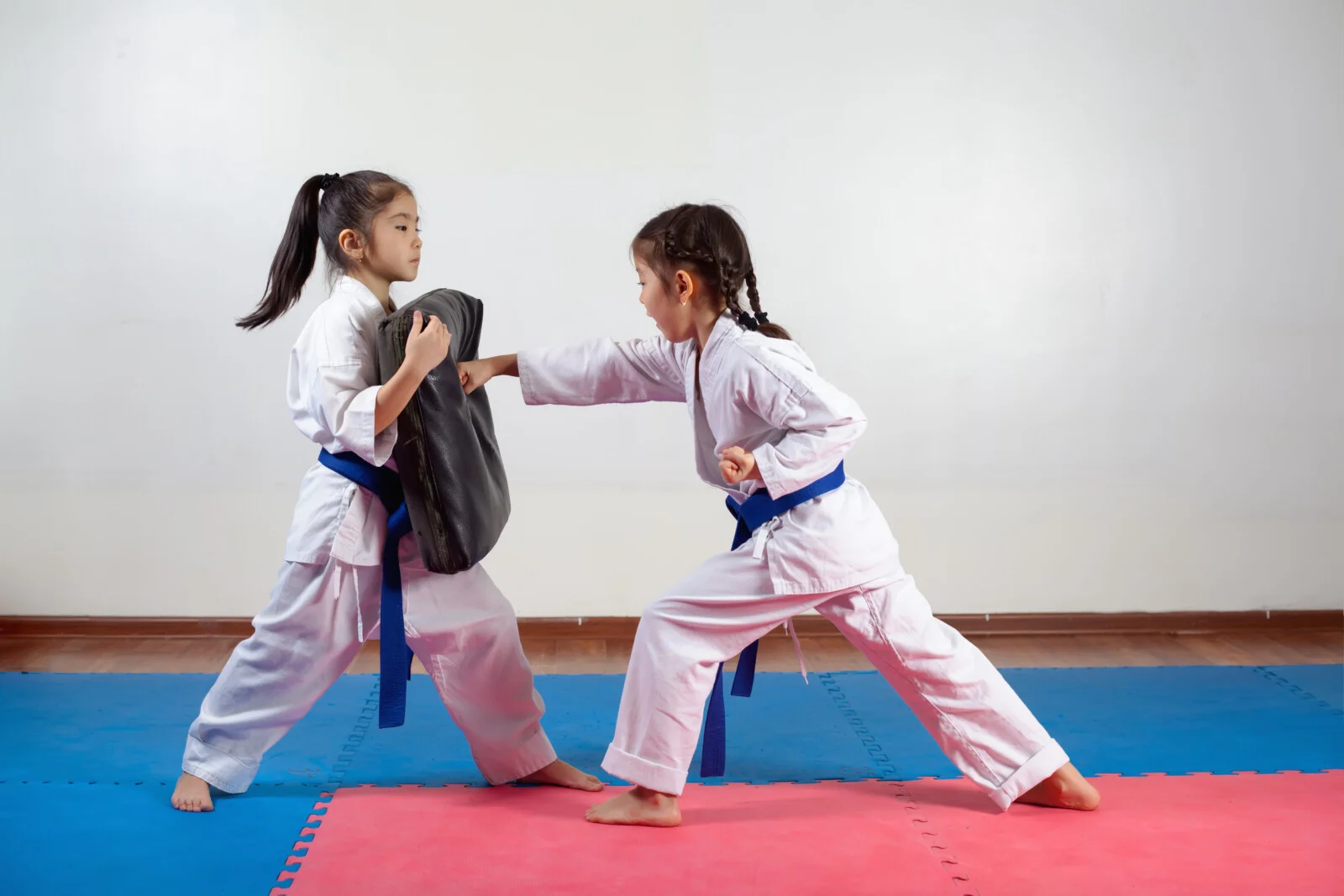 Two young girls practicing thier karate striking Two young girls practicing thier karate striking