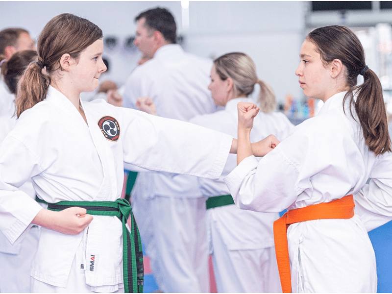 Teenage Girls Practicing Karate Forms Teenage Girls Practicing Karate Forms