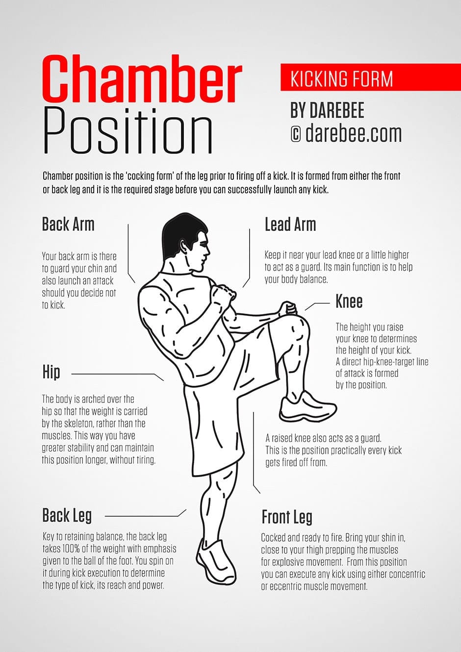 Martial artist performing kicking drills showing progressive training methods including balance work Martial artist performing kicking drills showing progressive training methods including balance work